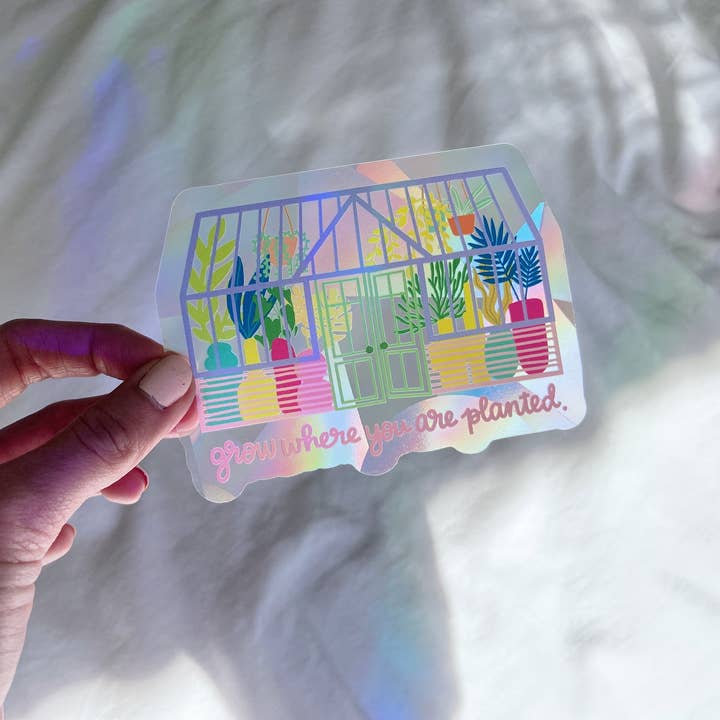 Ten By Ten - Wholesale Suncatcher - Greenhouse Suncatcher Sticker Rainbow Window Decal4