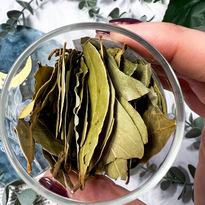 Moon Street Kits - Wholesale Meditation Supplies - Bay Leaf for Manifestation, Protection & Clarity2