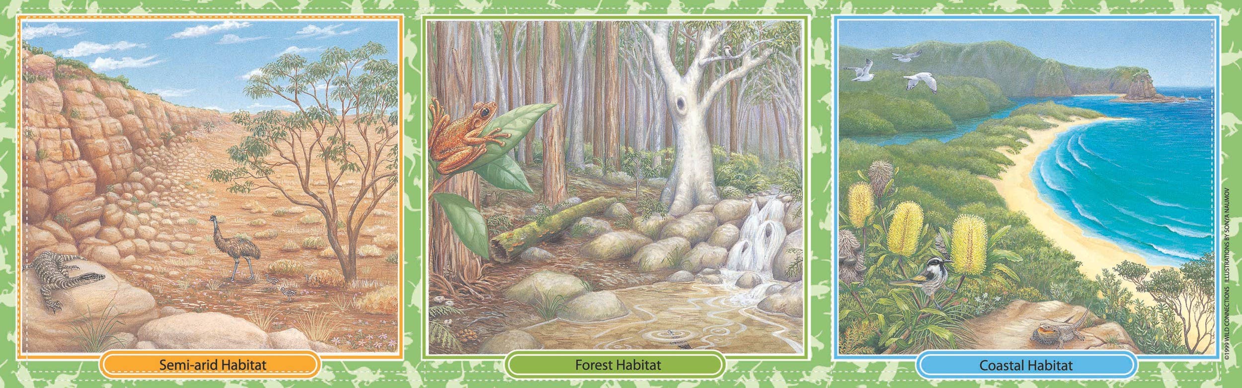 Science and Nature – wholesale Card game – Australian Menagerie Game3