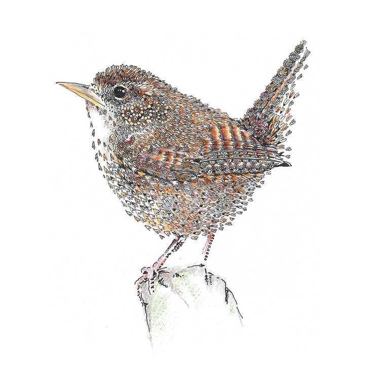 Carte de vœux Troglodyte pour la vente par Natural Partners Limited