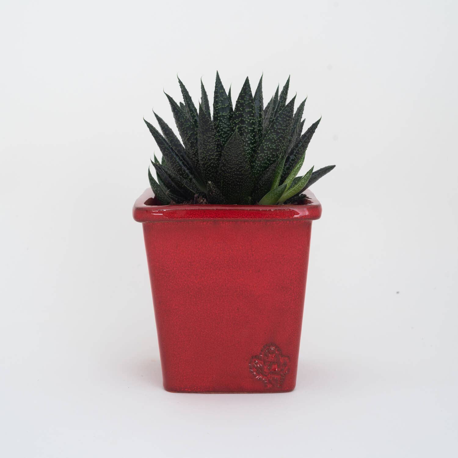Vasos Quadrados by EM – Engroshandel Plantekrukke – Medium firkantet vase 14x14 cm - blank12