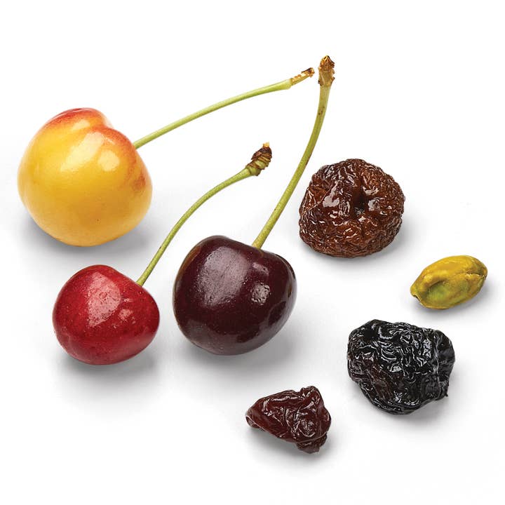 Chukar Cherry Company - Wholesale Nuts - 1.85 oz Pistachio Cherry - Fruit and Nut Energy Mix2