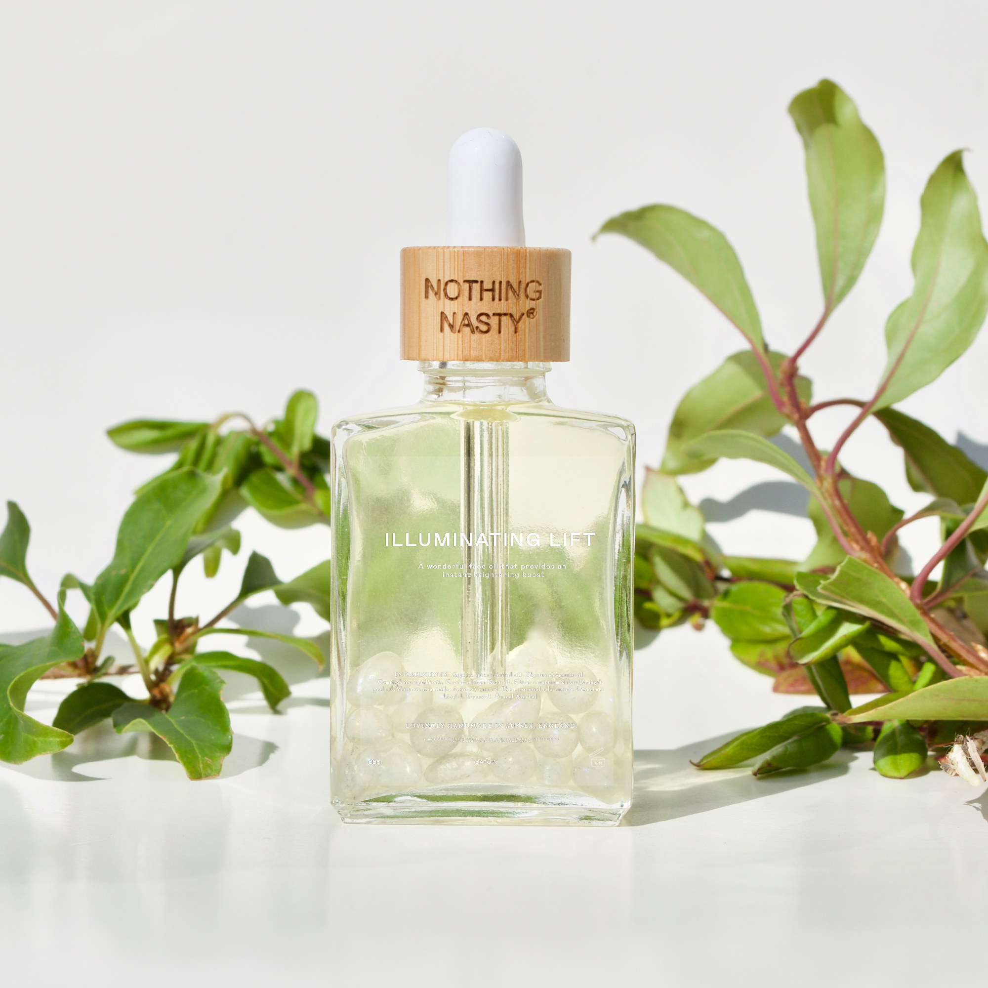 NOTHING NASTY – wholesale Facial oil – ILLUMINATING DAY OIL3