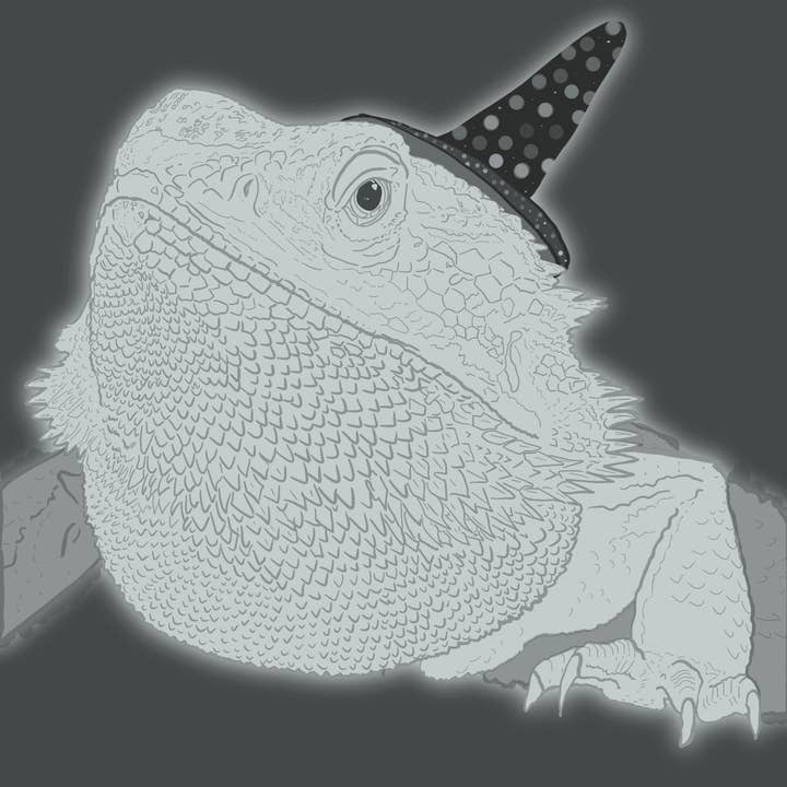 Dragón barbudo para venta al por mayor de Dogs And Designs