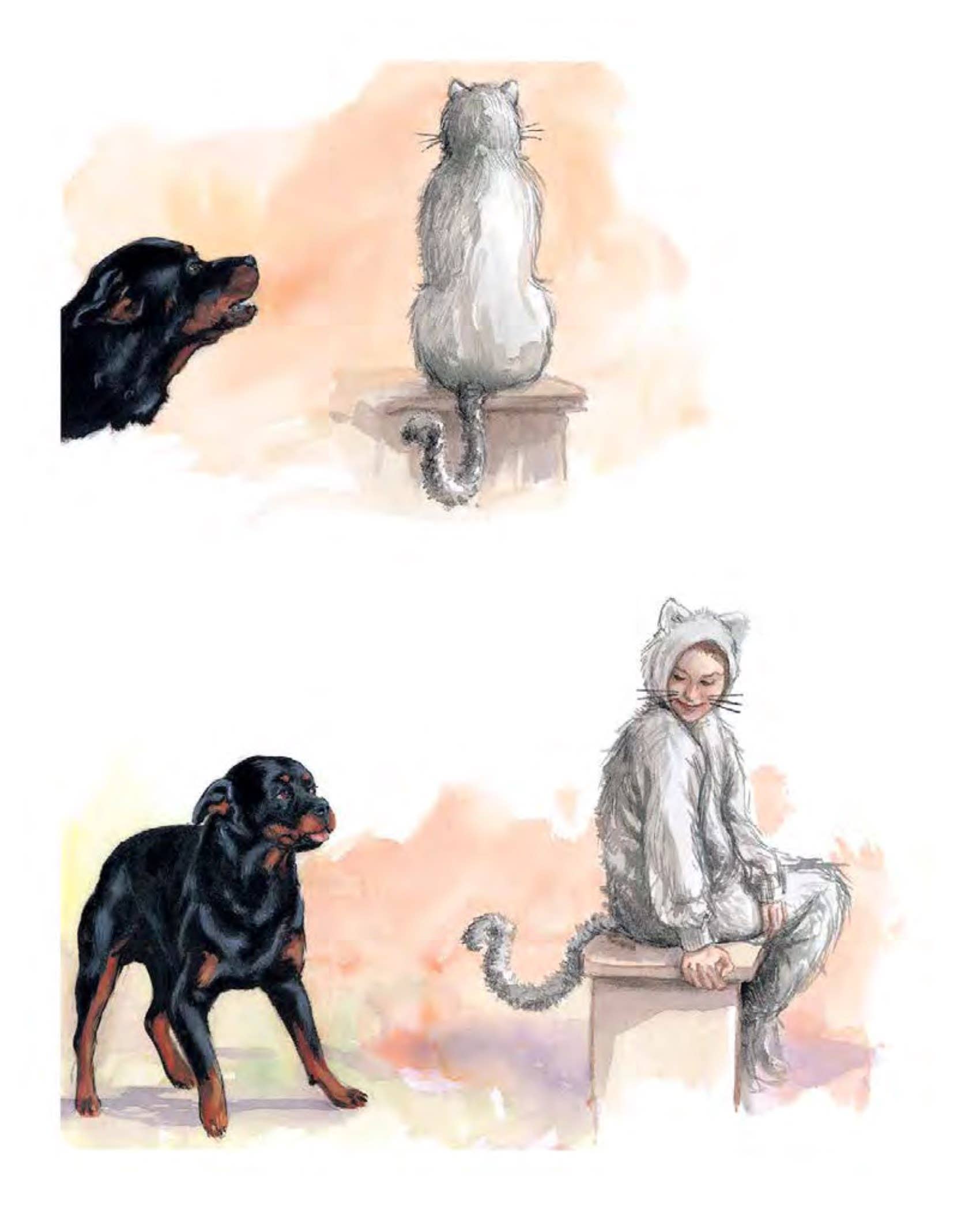 Laughing Elephant Books - Wholesale Preschool Book (3-5) - Carl's Masquerade 40th Anniversary Edition3