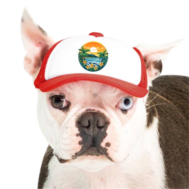 Maui Sunset Standard or Namedrop | Trucker Hat for Dogs for wholesale by PupLid