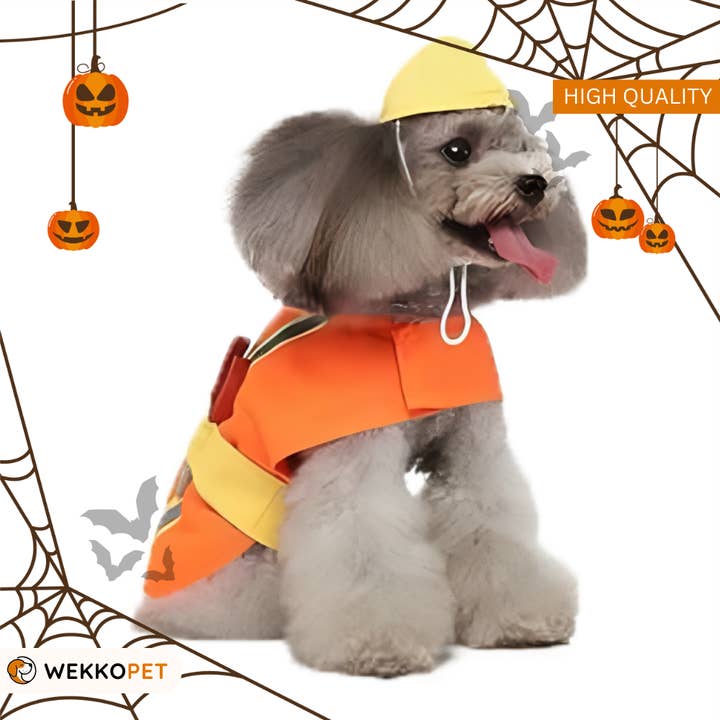 Persona de reparación (SOLTERA) Halloween para venta al por mayor de WEKKOPET