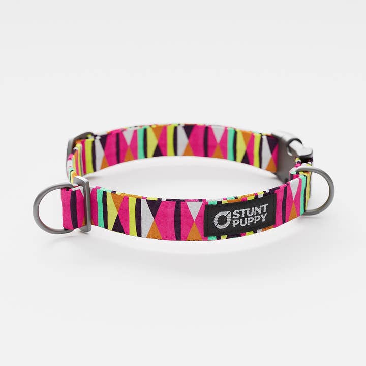 Zebras Gone Wild Hot Pink Everyday Collar for wholesale by Stunt Puppy