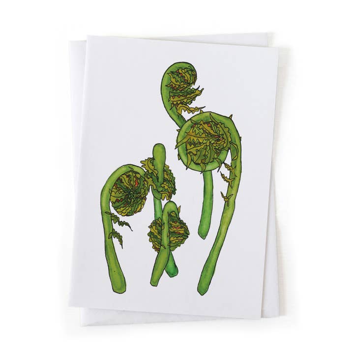 Fiddlehead Fern Foraging Botanical Illustration 5x7 Card for wholesale by Wander & Gather