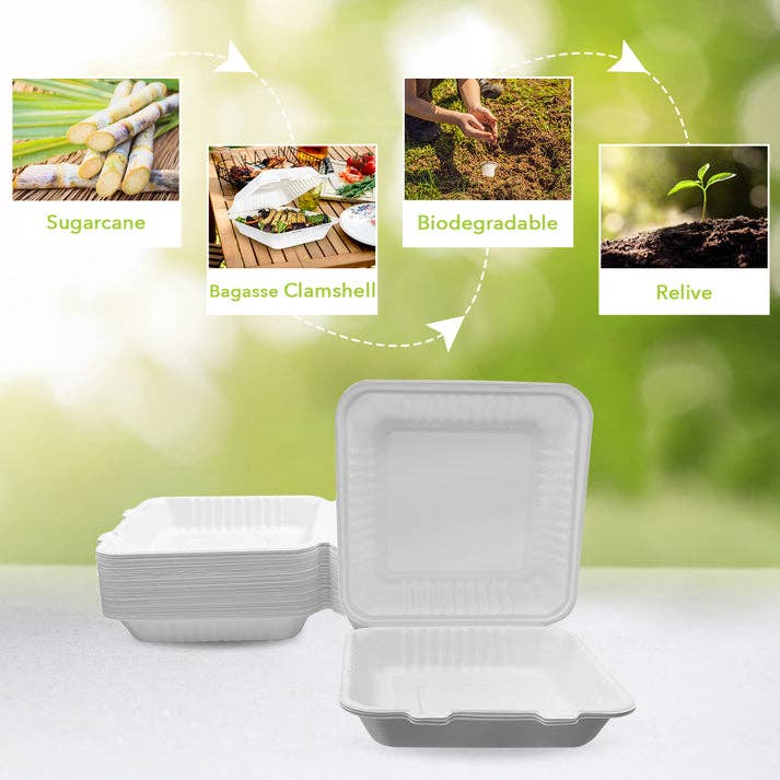 White Three Leaf 8" X 8" 1 Comp. Bagasse Clamshell, 200 Ct. for wholesale on Faire3