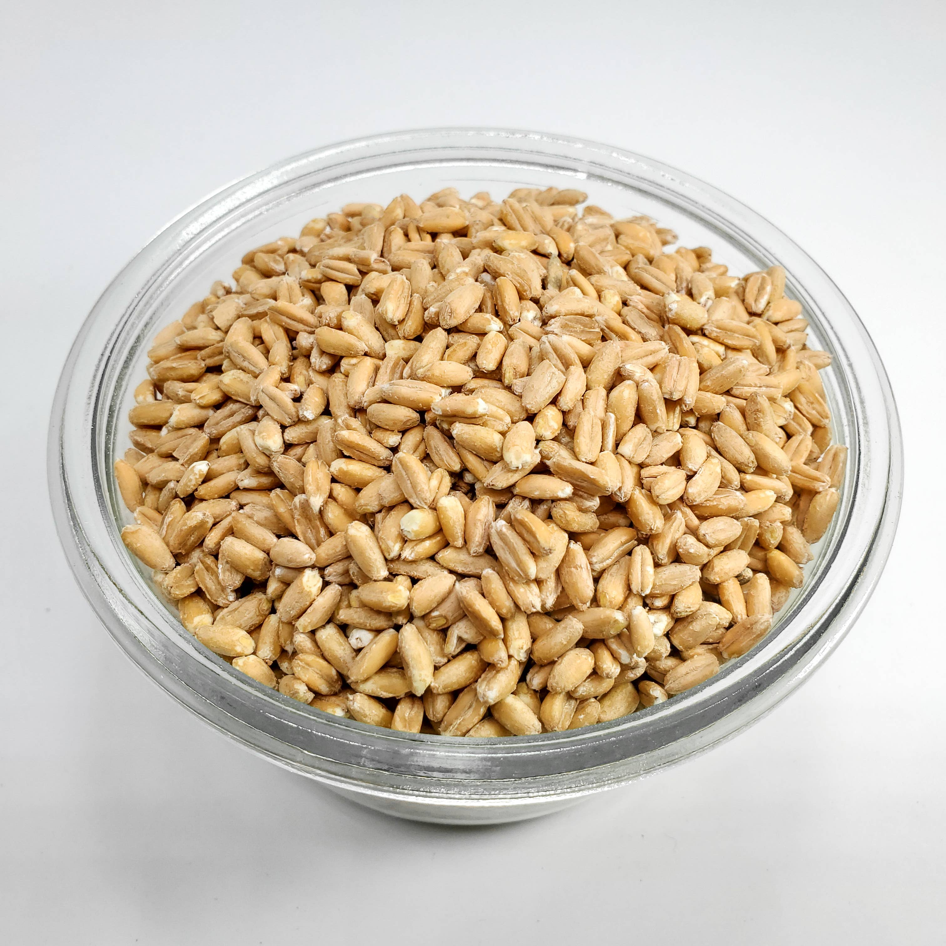 Maine Grains - Wholesale Rice - Organic Pearled Farro / 6x2.4#4