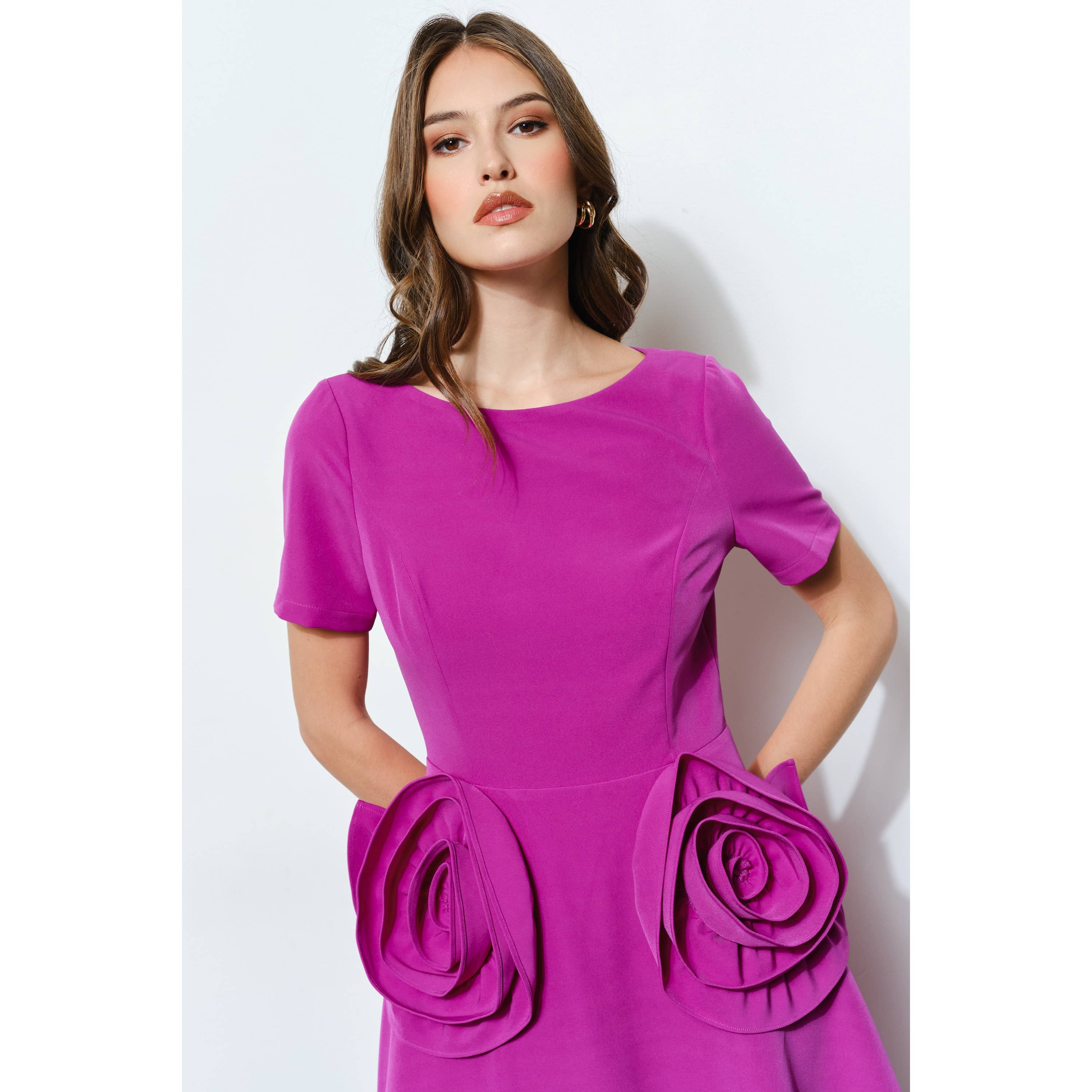 INA - Wholesale Dress - Women's - Elegant Rose Applique A-Line Midi Dress5
