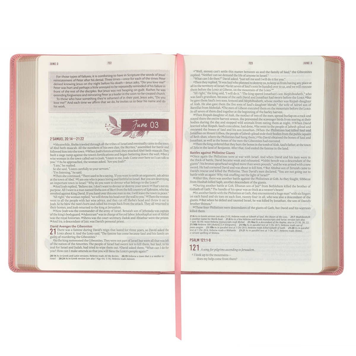 Christian Art Gifts - Wholesale Religion Book - Devotional Bible NLT for Women Faux Leather, Pink3