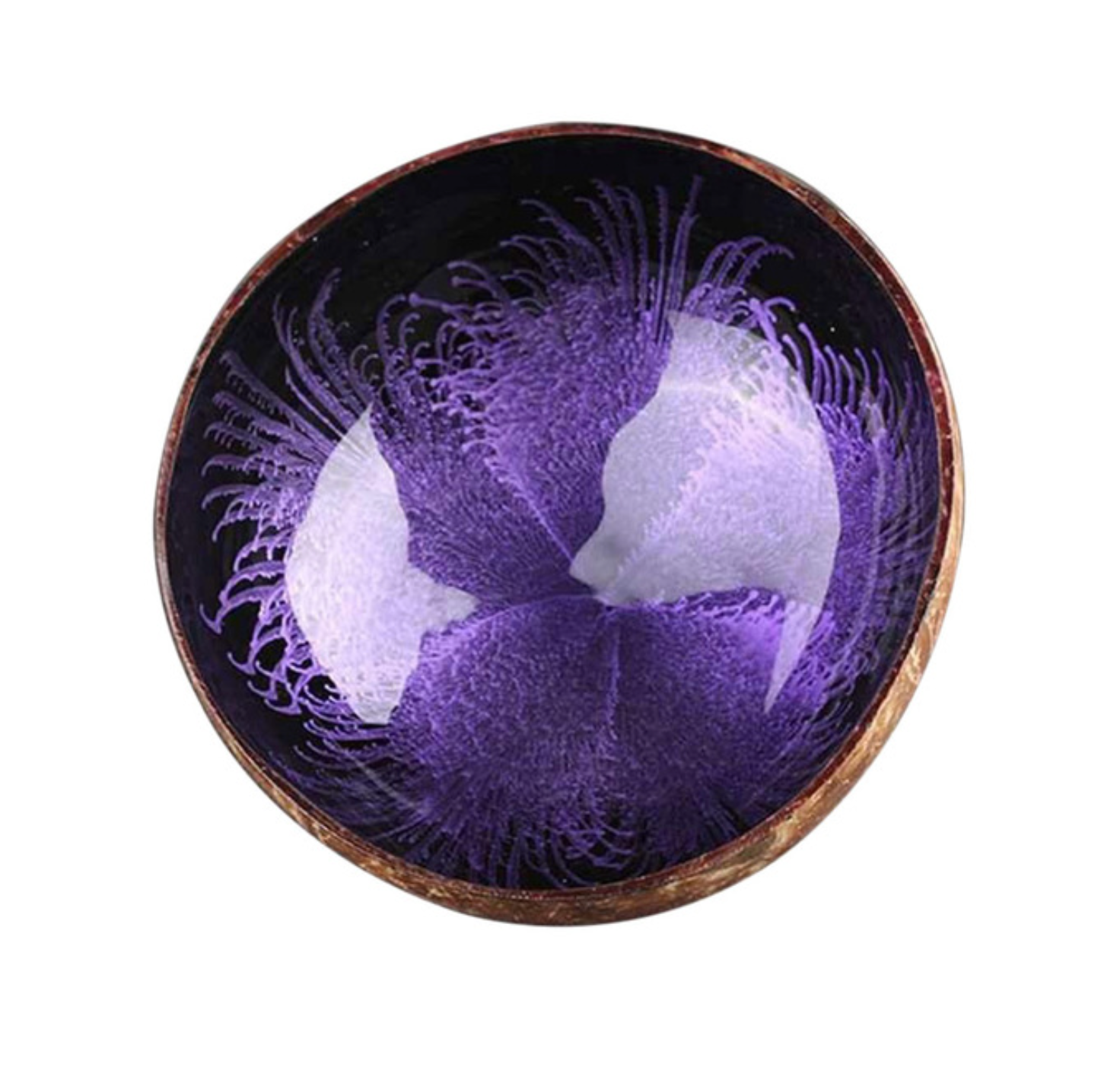 Homerely (We Cover All Import Duties) - Vente Assiettes/plats/bols de décoration - Bol décoratif vintage en coque de noix de coco naturelle1