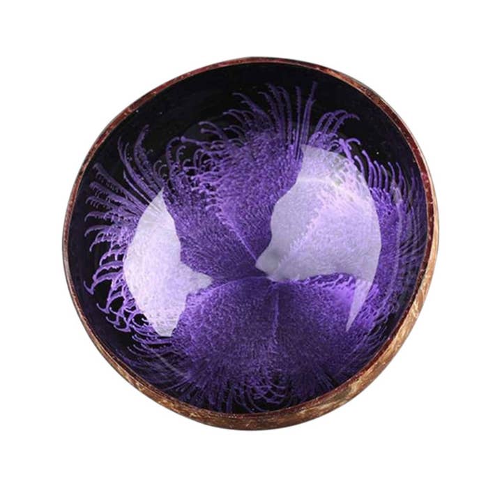 Homerely (We Cover All Import Duties) - Wholesale Decorative plate/dish/bowl - Vintage Natural Coconut Shell decorative Bowl4