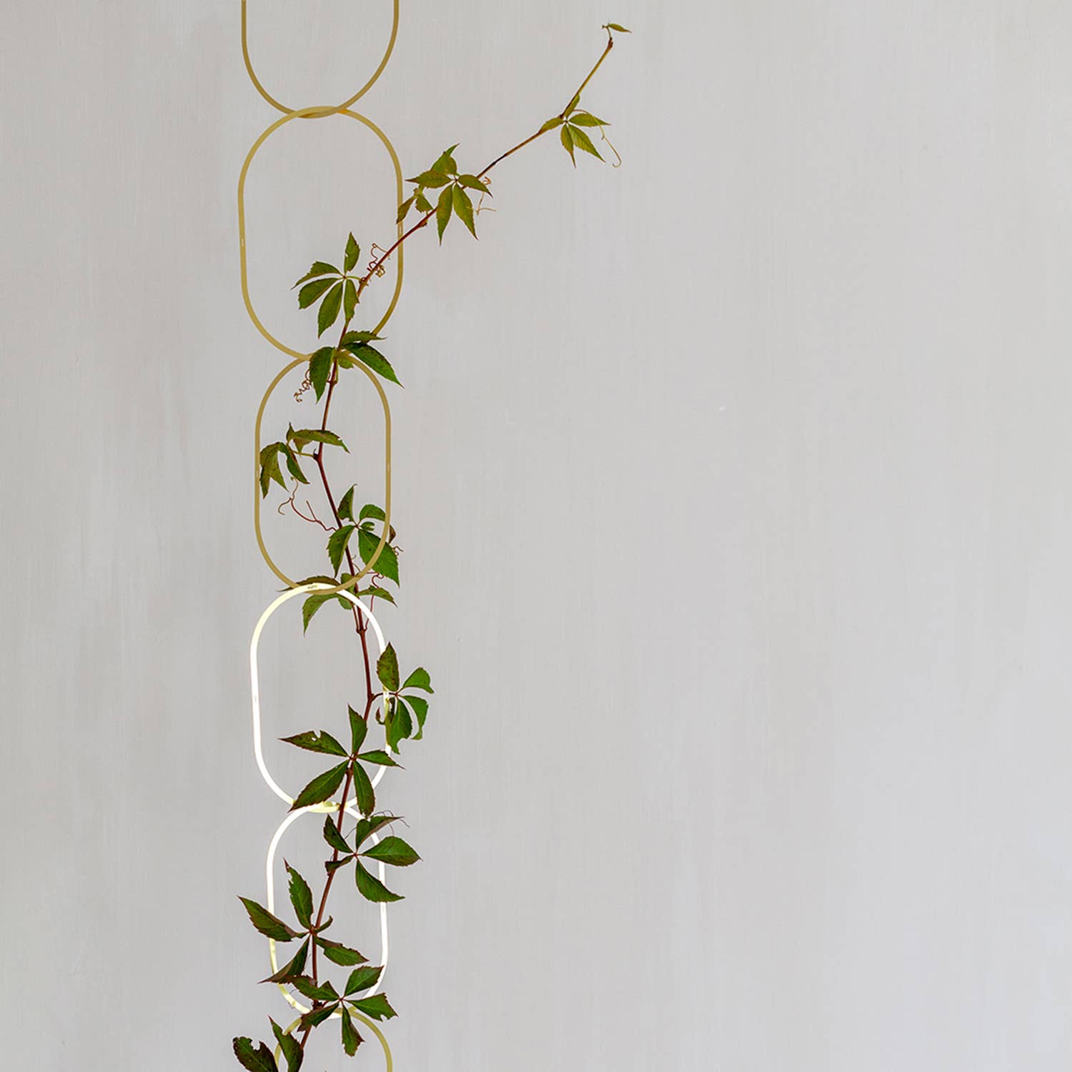 Botanopia - gifts , decor and cards for plant lovers - Wholesale Trellis - Gold Brass Chain - Plant Support for climbing plants3