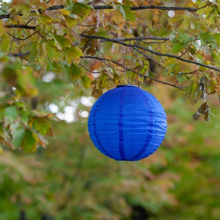 Allsop Home & Garden - Vendita all'ingrosso Luce per esterni/da giardino - Lanterna solare Soji Festival Globe 12" - Blu ceruleo3