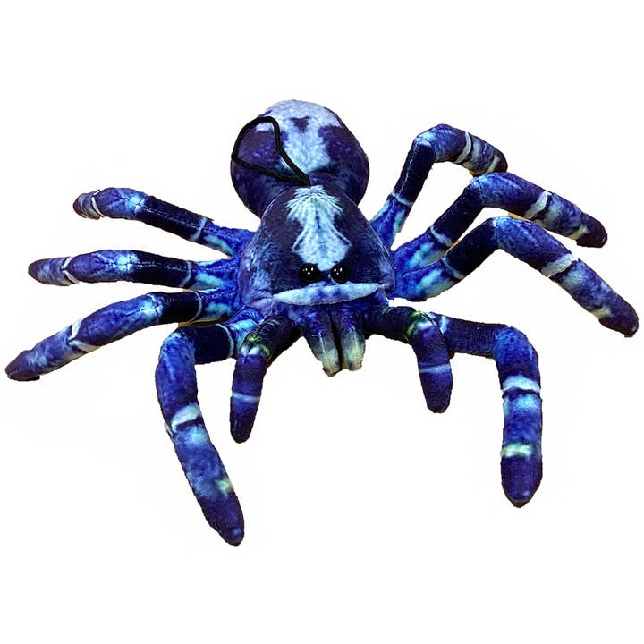 Blue Tarantula 9" Plush Spider Stuffed Animal, 2 Styles for wholesale by Texas Toy Distribution