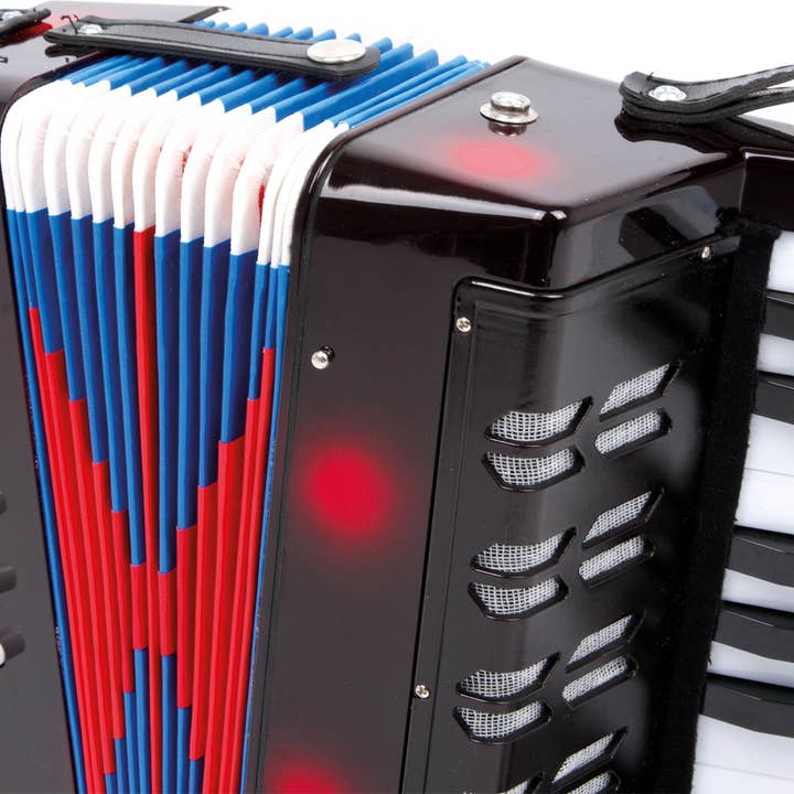 small foot - Wholesale Musical Toy - Kids & Baby - Accordion Classic1