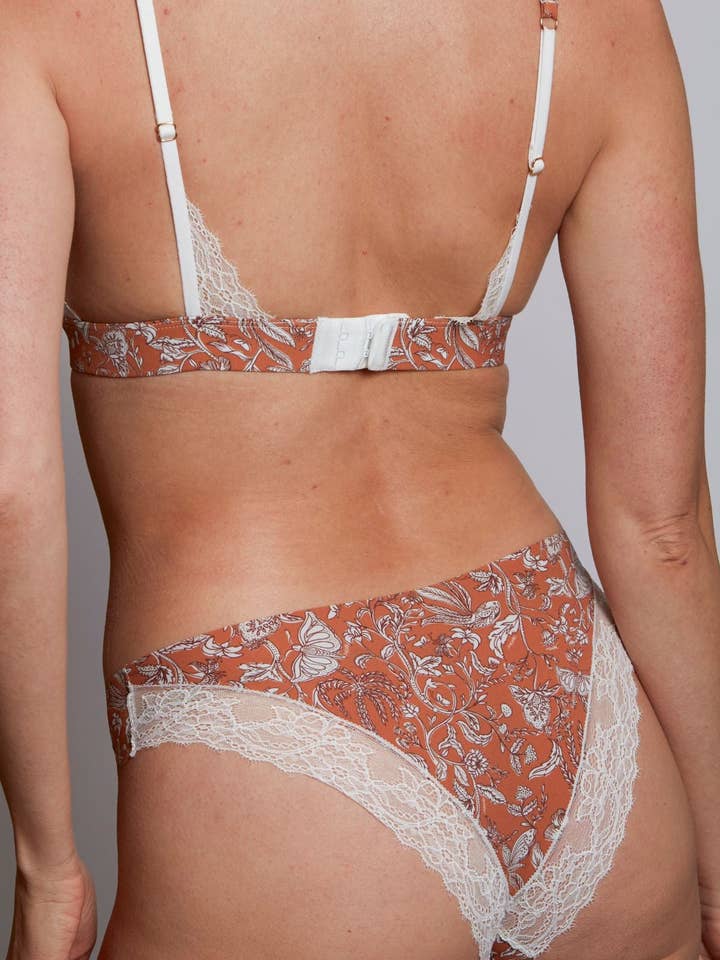 Esquisse Lingerie - Wholesale Underwear - Women's - Indonesia Latte Brown lace panties0