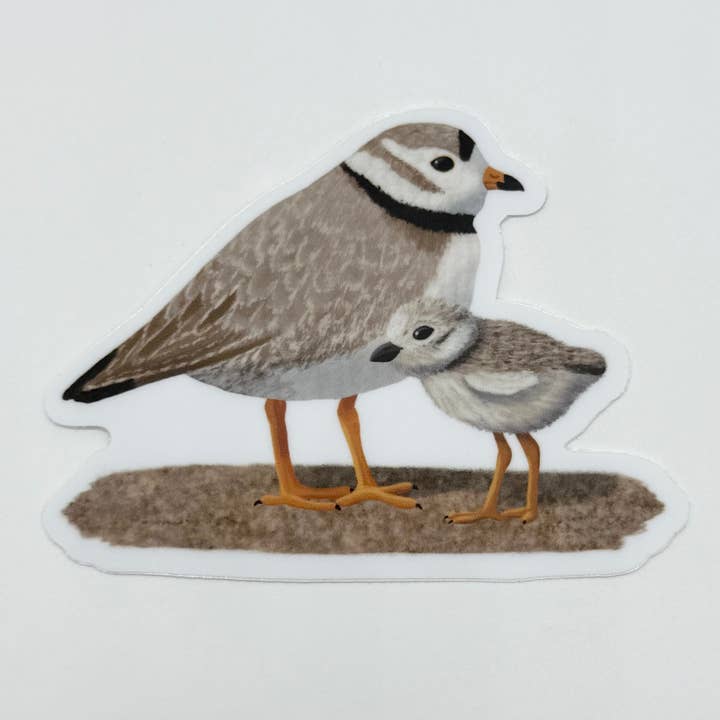 Sand Plover Sticker for wholesale by MI Woodland Art Studio