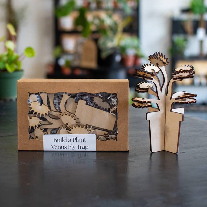 Build A Plant - Venus Fly Trap for wholesale by Still Magnolia