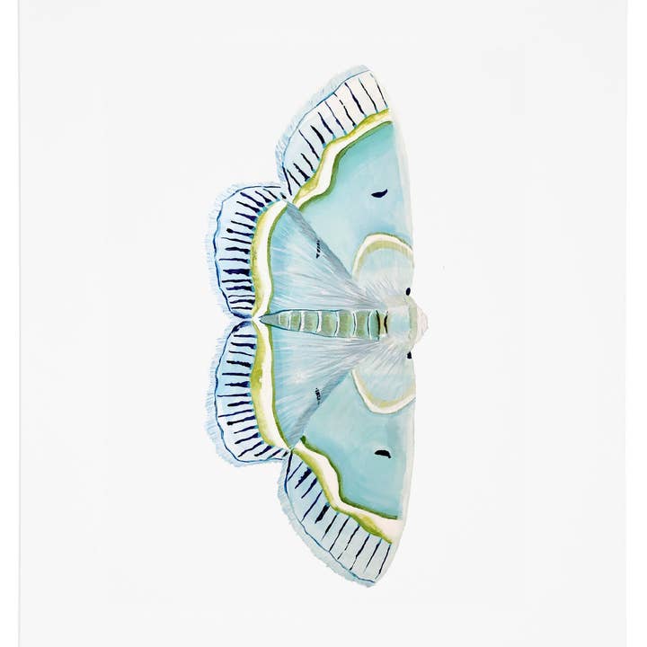 Impresión artística de polilla 2 para venta al por mayor de J6R6