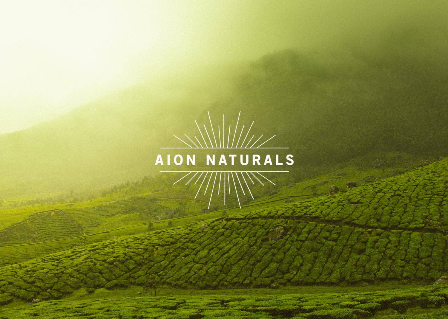 Aion Naturals - Wholesale Health/Detox Tea - Aion Naturals Premium Ceremonial Matcha BULK3