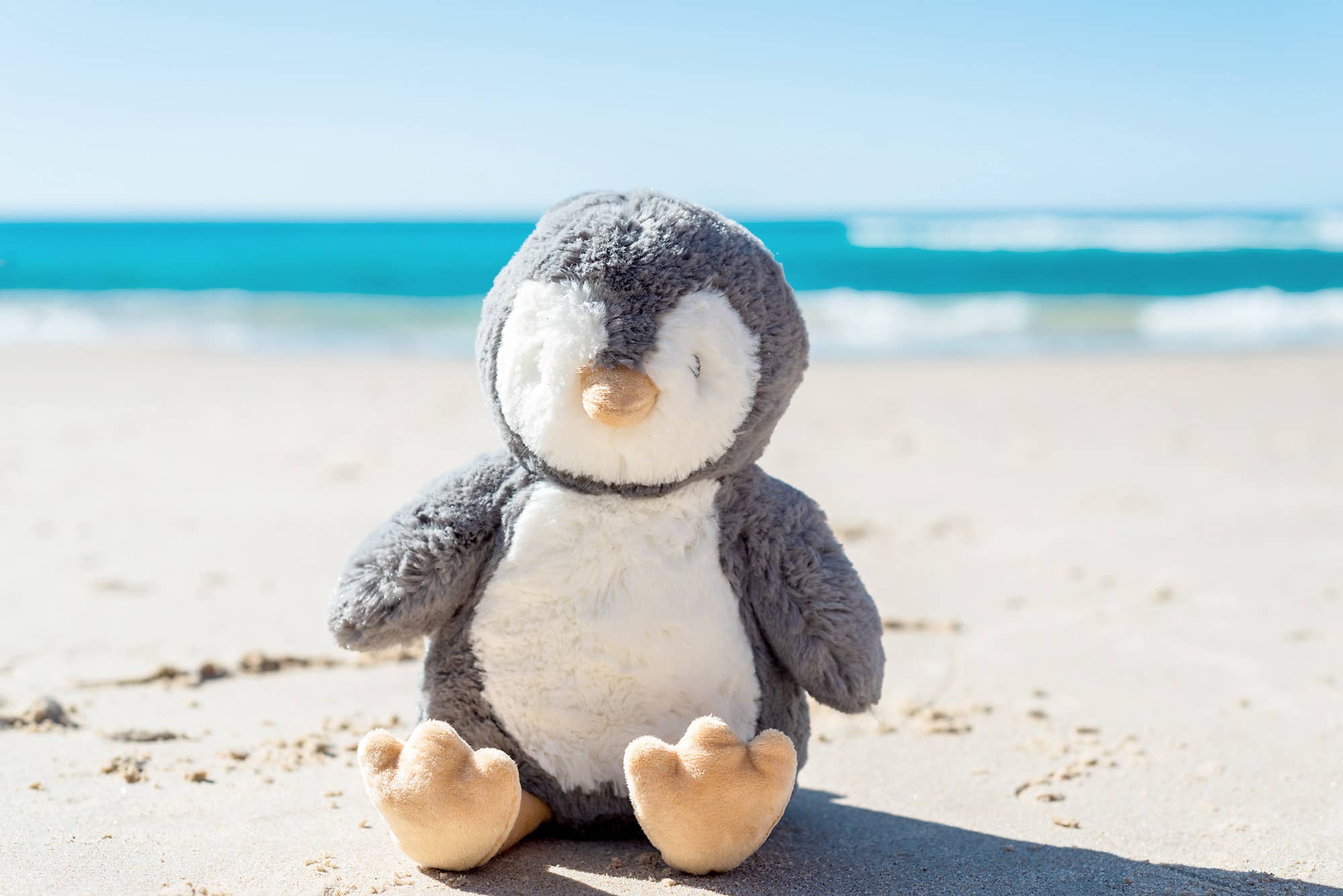 OB Designs Australia - Wholesale Stuffed/Plush Toy - Kids & Baby - Iggy Penguin Soft Toy 13.5"/  34cm4