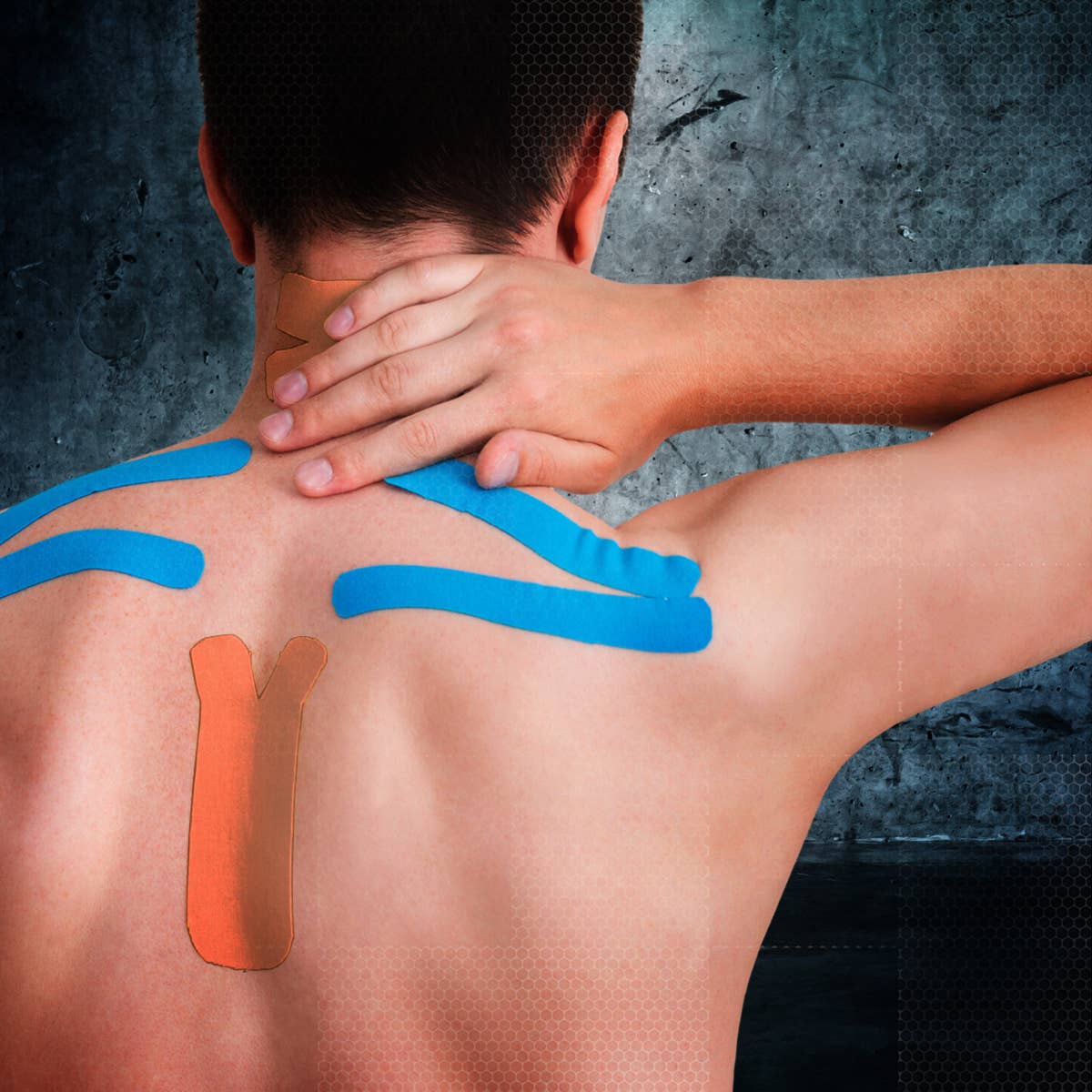 tilfældig 3-Pack Premium Kinesiologi Tape+ rustfrit stål saks for engroshandel på Faire3