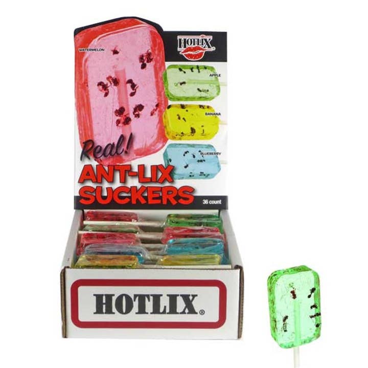 I Got Your Candy - Wholesale Lollipop - Hotlix Ant-Lix Lollipops 1oz - 36ct