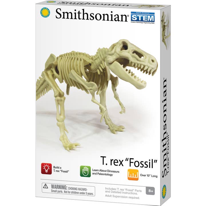 Toysmith - Wholesale Build-a-Toy - Kids - Smithsonian Dinosaur Fossils T-Rex Value Set