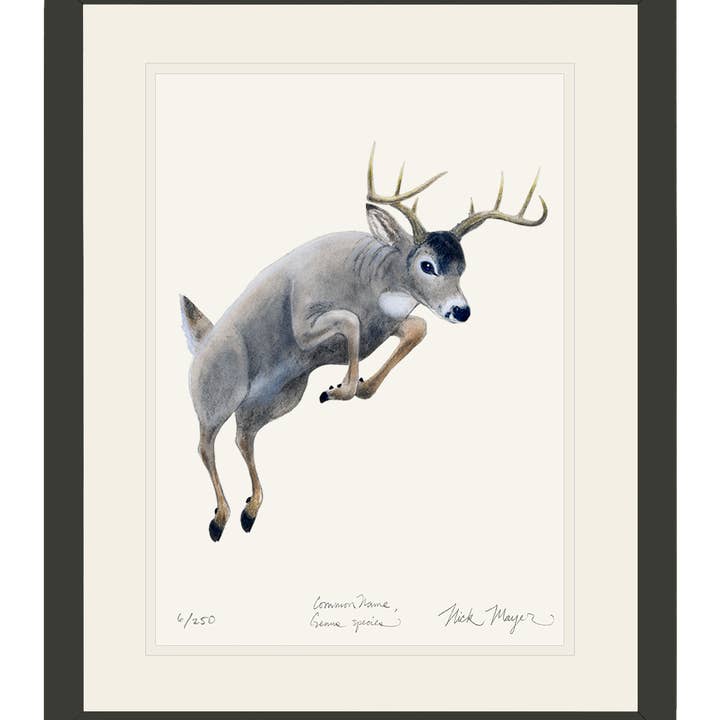Whitetail Buck Limited Edition Print for wholesale by Nick Mayer Art