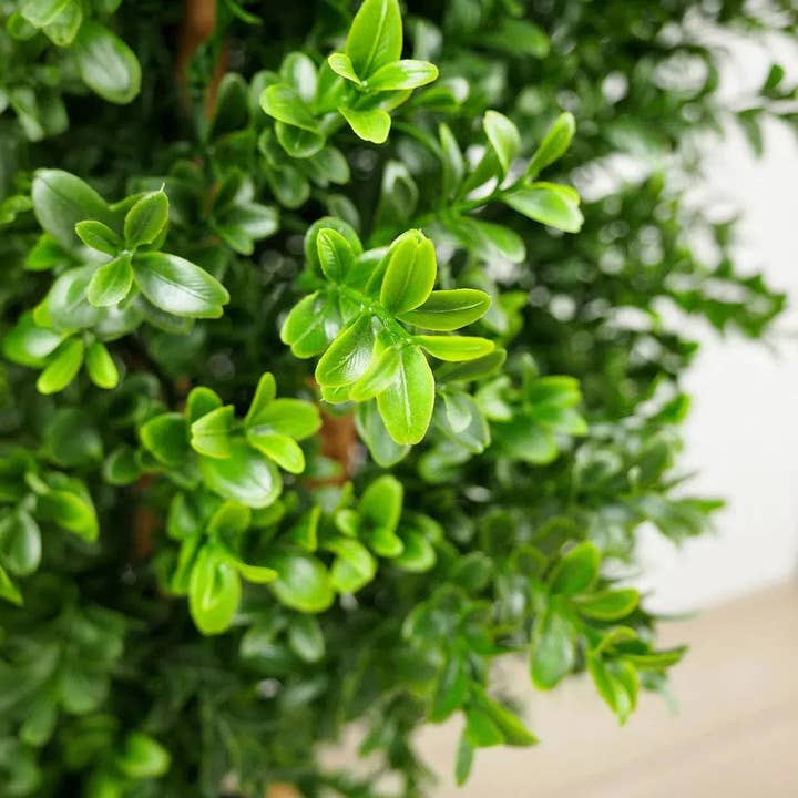 LOOMLAN - Wholesale Artificial Plant - Faux Botanical Outdoor Green Boxwood Tree