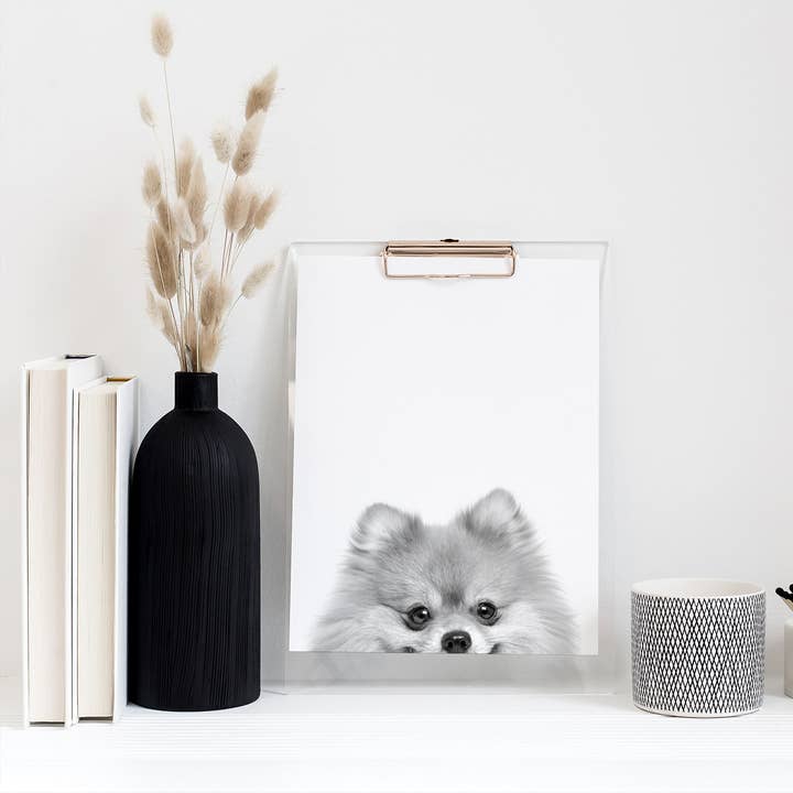 Pomeranian 1 Unframed Peeking Print for wholesale by Perkie Prints