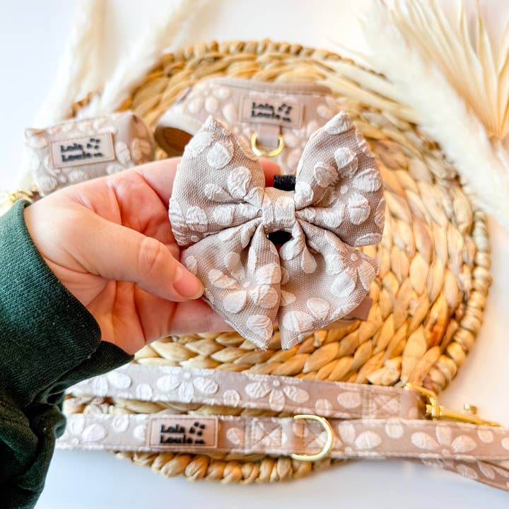 Lata Bow para venta al por mayor de Lola & Louie co.