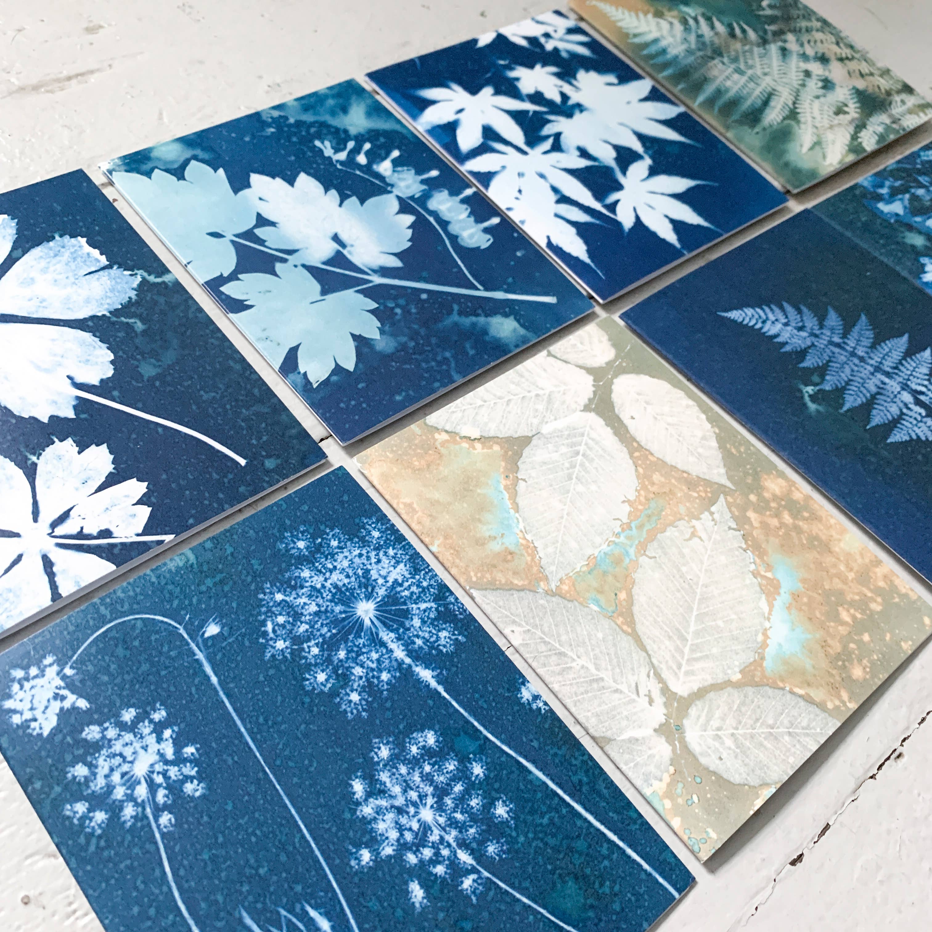 Atwater Designs - Vente Carte de vœux classique - Coffret de cartes de vœux Slow Mornings | Botanical Cyanotype6