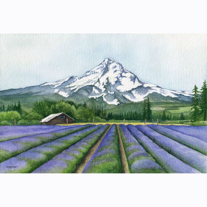 Mt Hood Lavender Valley (5" x 7" notecard) for wholesale by Bonny Wagoner - Artist/Illustrator