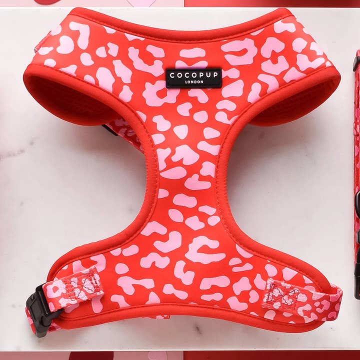 Harnais ajustable pour chien en léopard rouge et rose pour la vente par Cocopup London