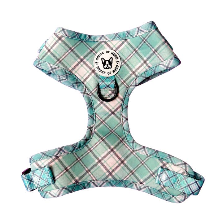 Harness - Sage green check for wholesale by House of Hugo