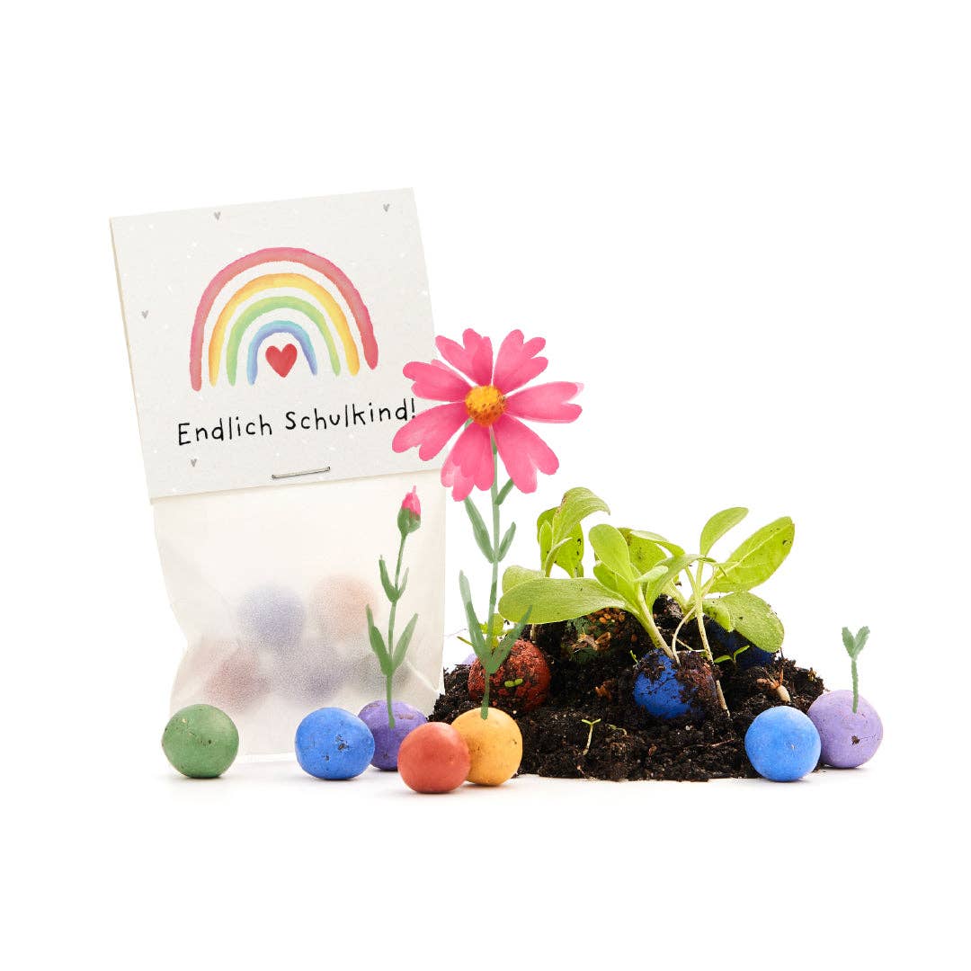 TDJ Stadtgärtner GmbH - Wholesale Plant Seeds - 5 flower marbles in a glassine bag - "Finally a schoolchild" - school enrollment1