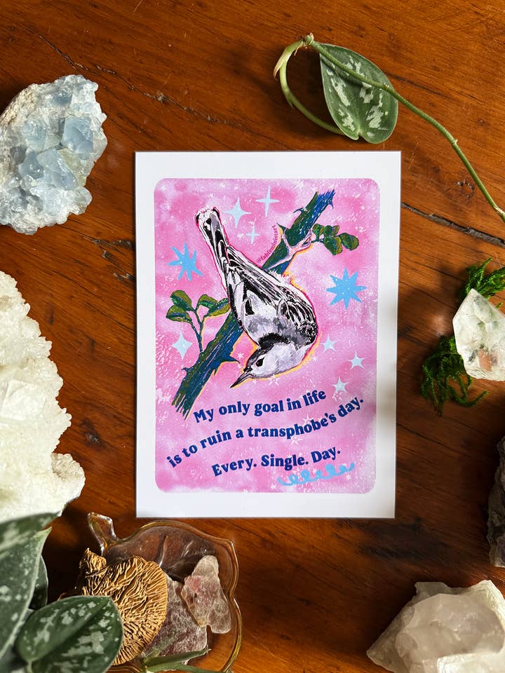 Mit eneste mål i livet er at ødelægge en transfobs dag: Print for engroshandel hos Fabulously Feminist