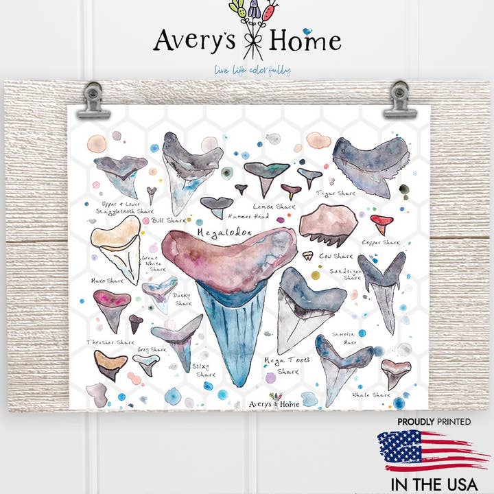 Avery's Home - Vente Gourde/bouteille isotherme - Gobelet skinny américain Shark Tooth Ocean Artwork Coastal de 20 oz1