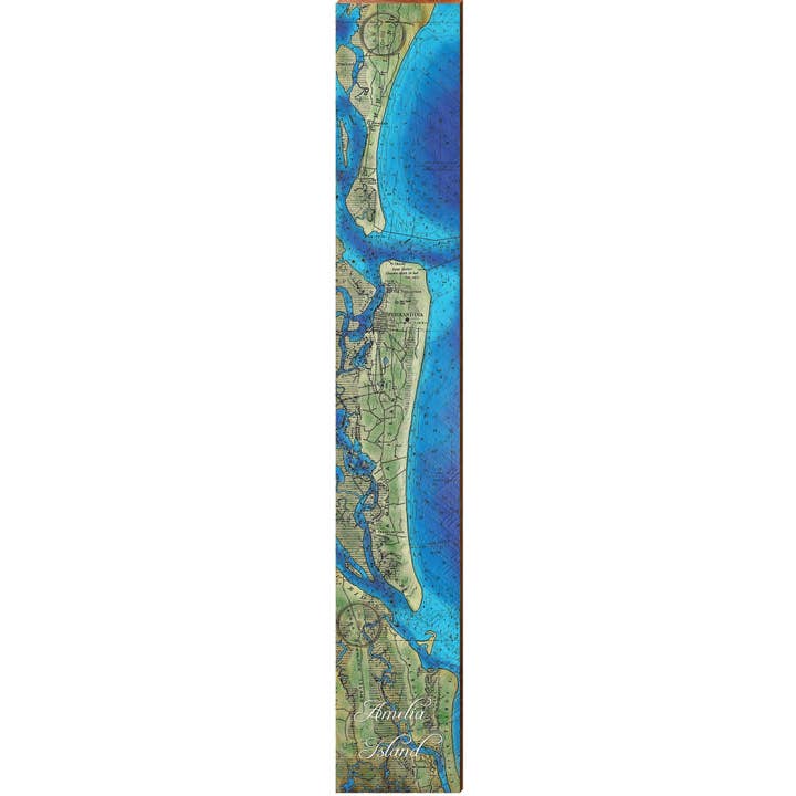 Décoration murale sur page de carte topographique de l'île d'Amelia, en Floride | Impression murale sur bois véritable pour la vente par Mill Wood Art