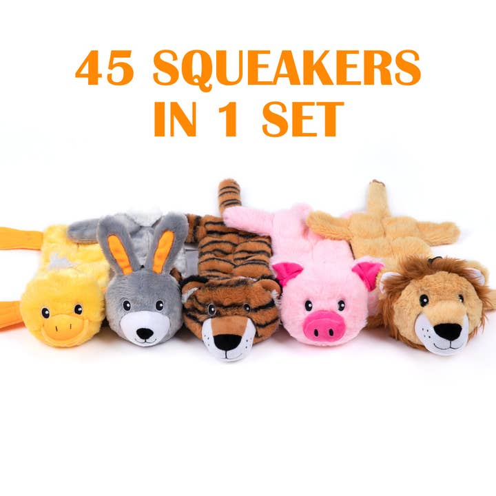 Nocciola - Wholesale Pet squeaky toy – Dog - Nocciola 5 PCS 3D Dog Squeaky Toys | No Stuffing Body Dog Toy Set for Small to Large Dogs1