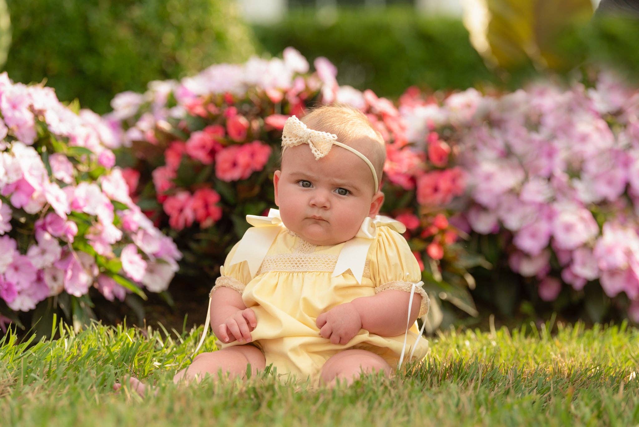 Posh Pickle - Wholesale Bodysuit (Non-Footed) - Baby - Bristol Yellow Heirloom Bubble4