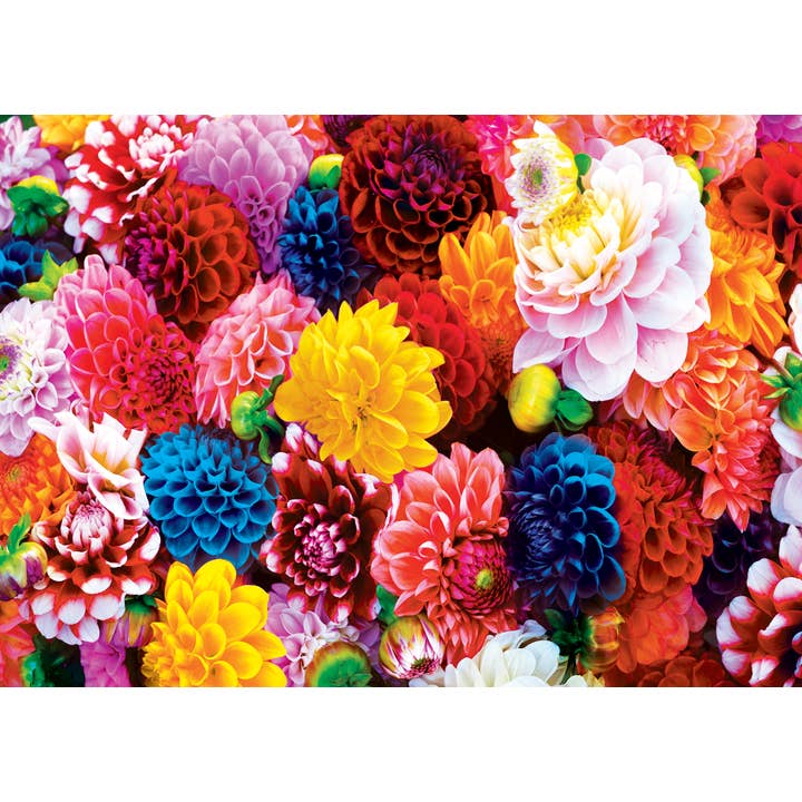 Masterpieces Puzzles - Wholesale Puzzle - Adult - Brilliance - Beautiful Blooms 500 Piece Puzzle1