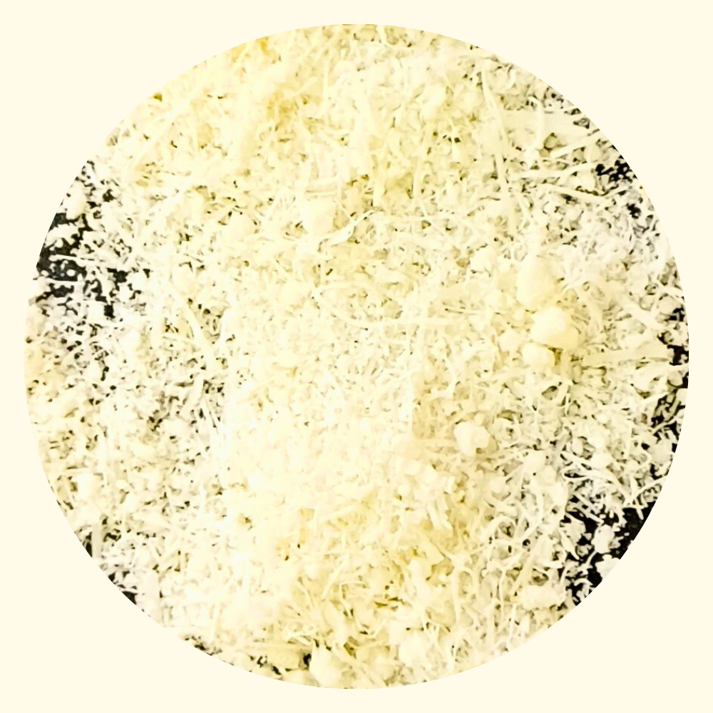 Gourm.it – Engroshandel Ost – Revet Parmigiano Reggiano enkeltportion 5g. DOP. Italien.1