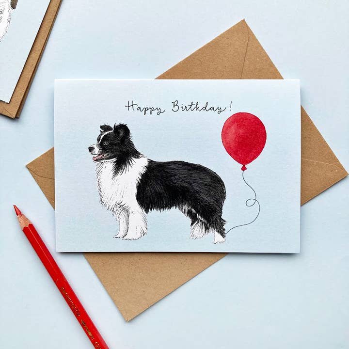 Amelia Illustration - Wholesale Verjaardagskaartje - Border Collie Dog verjaardagskaart