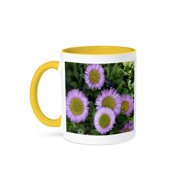 3dRose - Wholesale Coffee Mug - 3dRose, Erigeron Flowers, Mug